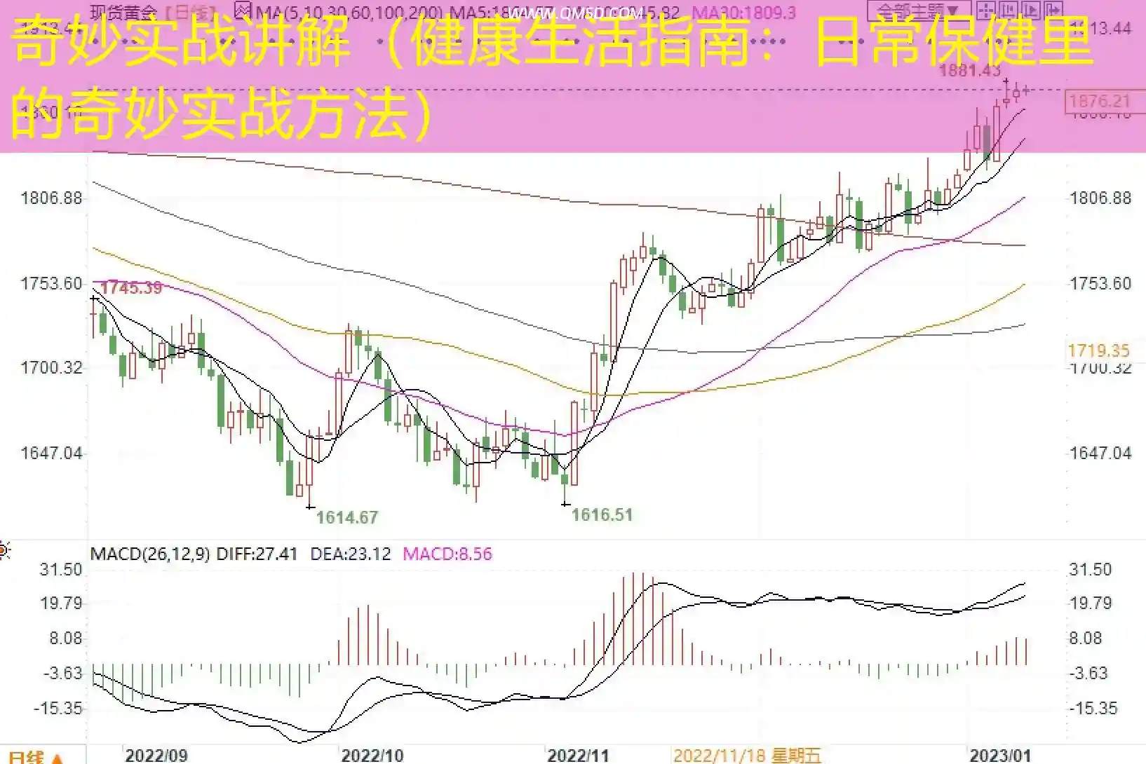 奇妙实战讲解（健康生活指南：日常保健里的奇妙实战方法）