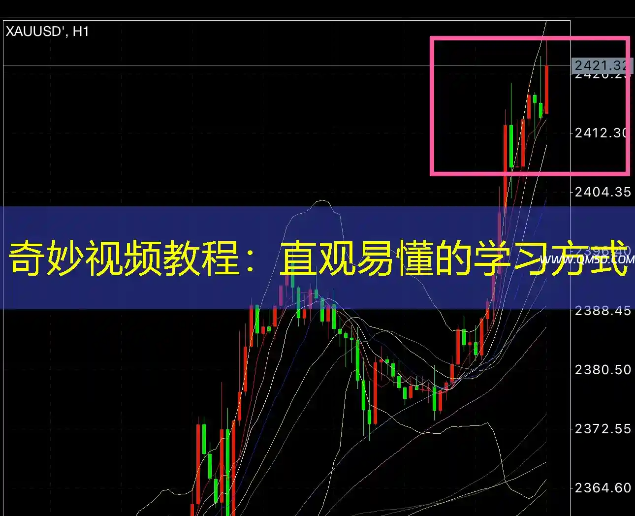 奇妙视频教程：直观易懂的学习方式