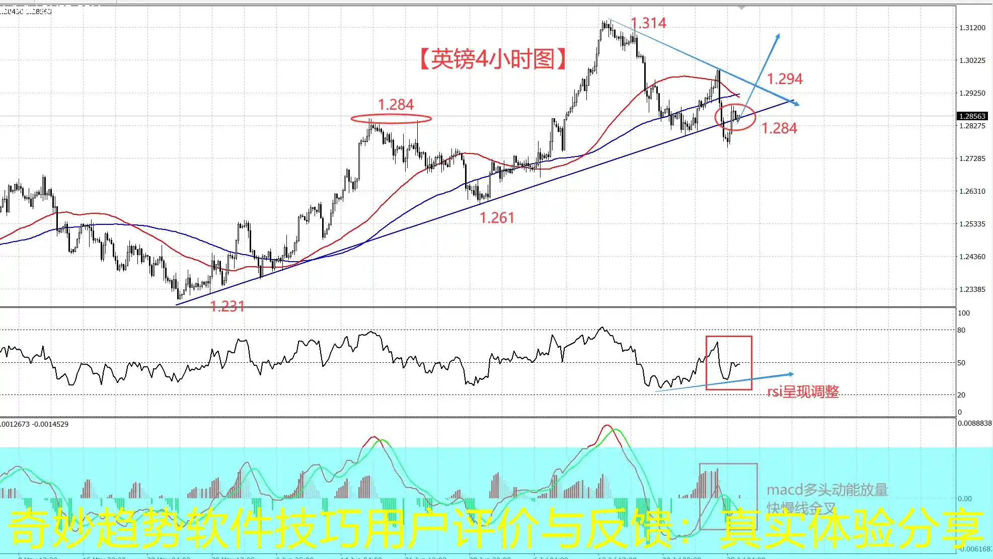 奇妙趋势软件技巧用户评价与反馈：真实体验分享