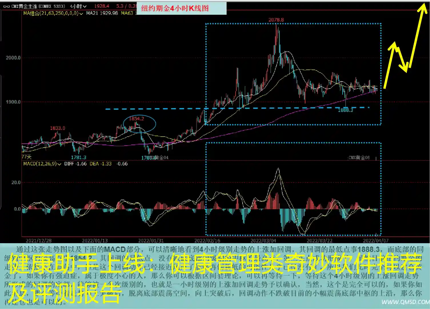 健康助手上线：健康管理类奇妙软件推荐及评测报告